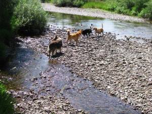 10593091_813127698721555_5533898487981378457_n