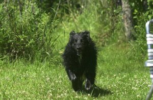 180432_186103904757274_6659681_n